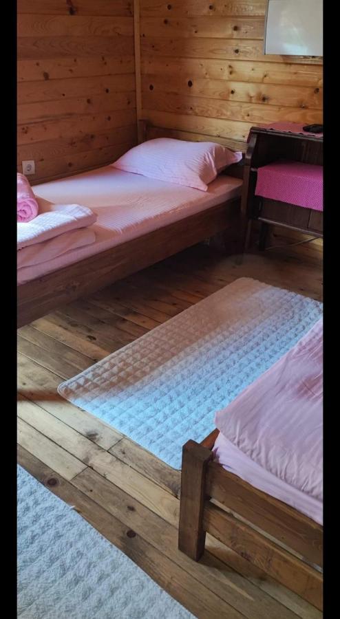Lolini Bungalovi 노비사드 외부 사진