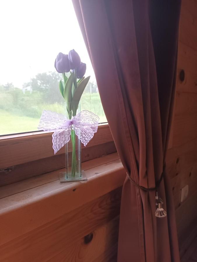 Lolini Bungalovi 노비사드 외부 사진