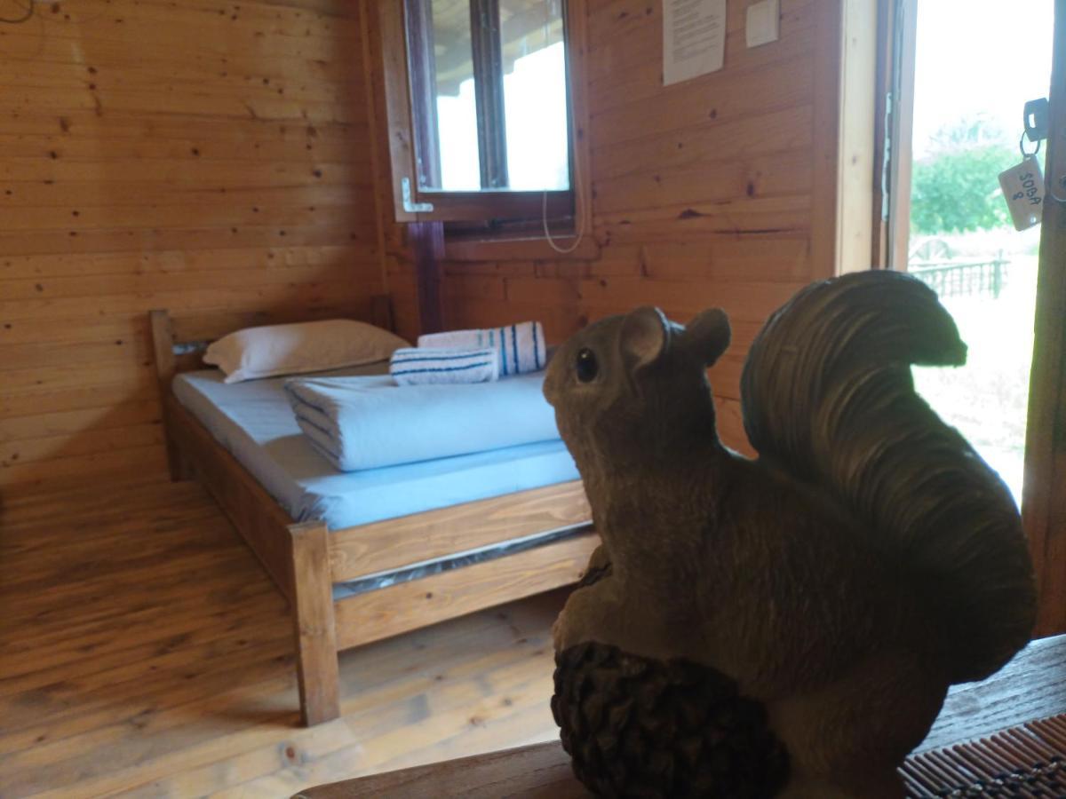 Lolini Bungalovi 노비사드 외부 사진