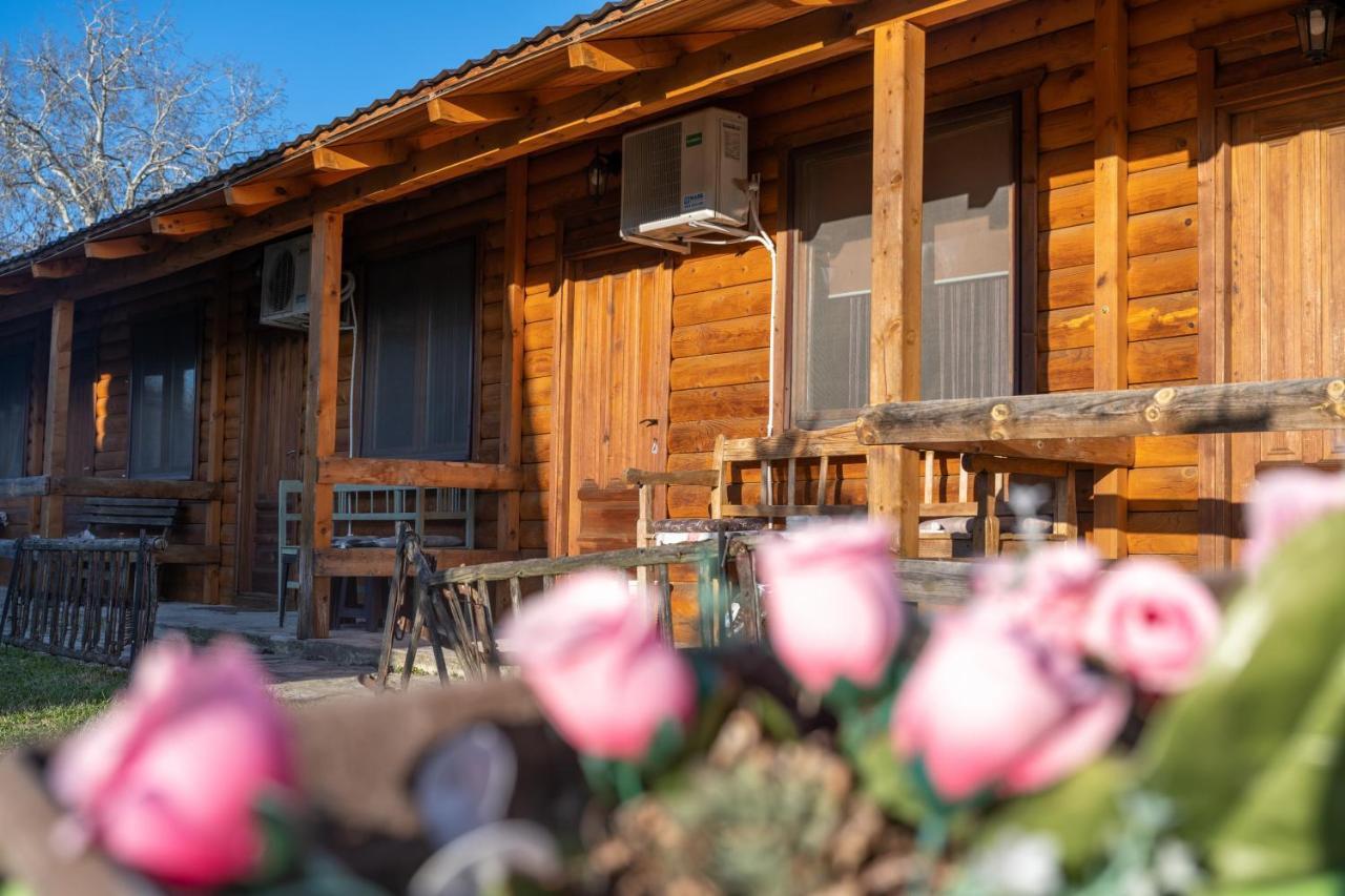 Lolini Bungalovi 노비사드 외부 사진