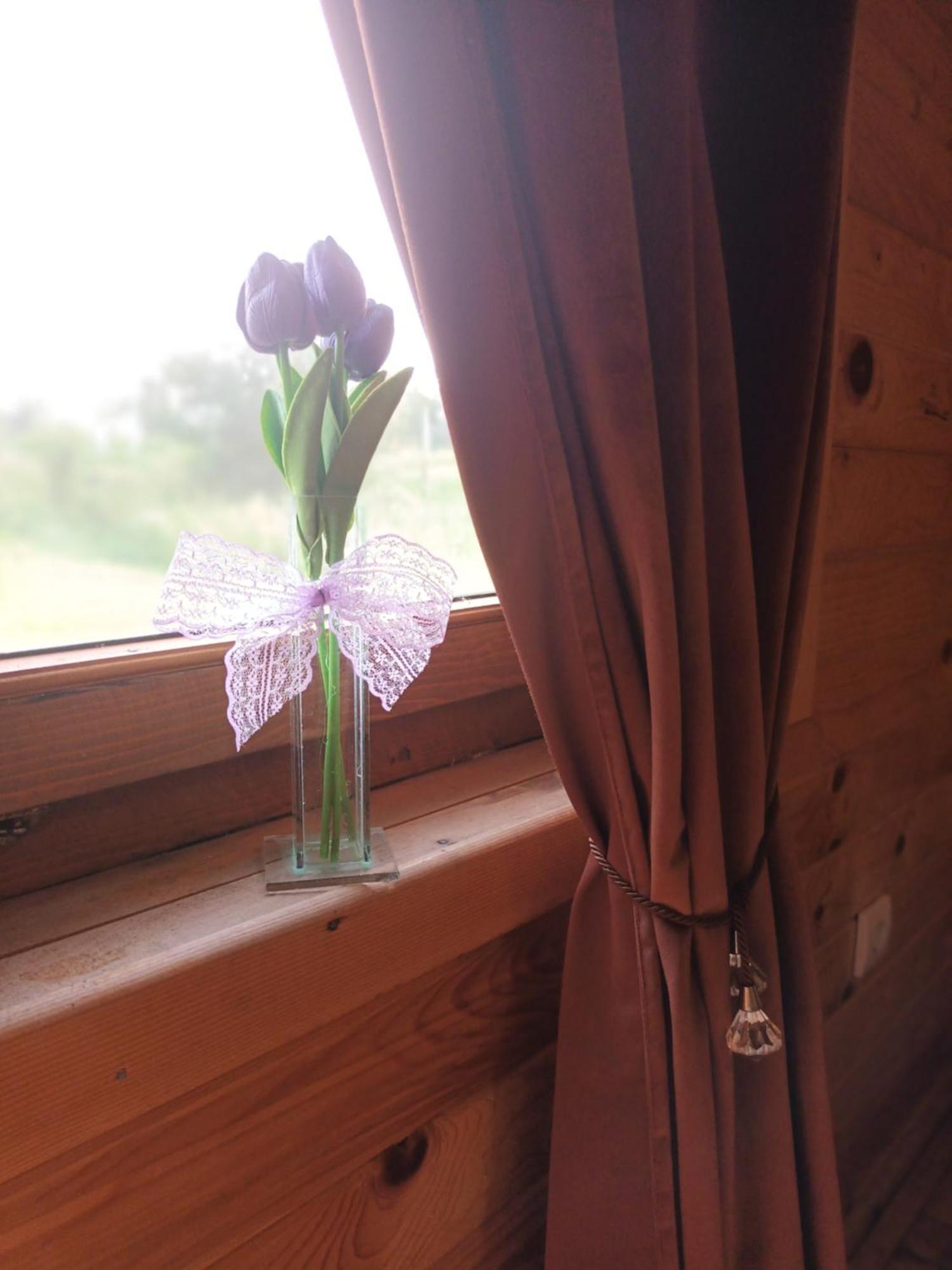 Lolini Bungalovi 노비사드 외부 사진
